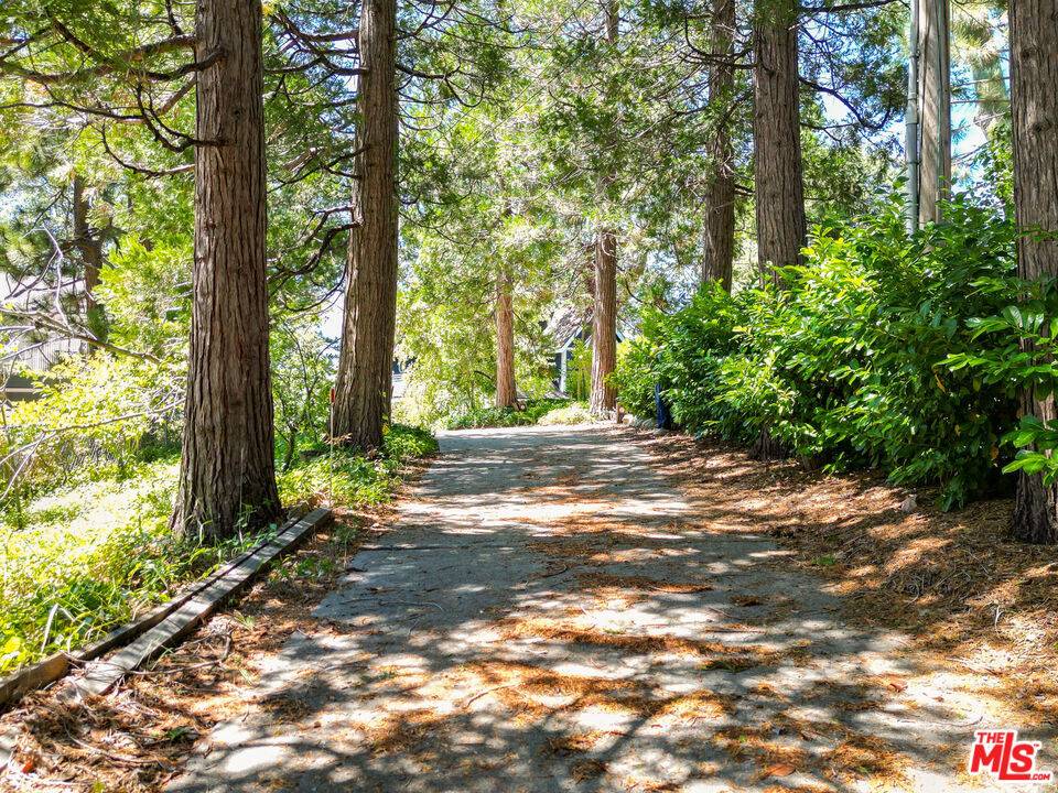 Lake Arrowhead, CA 92352,27975 St Bernard LN