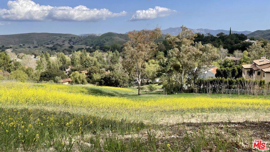 Agoura Hills, CA 91301,6000 Lapworth DR