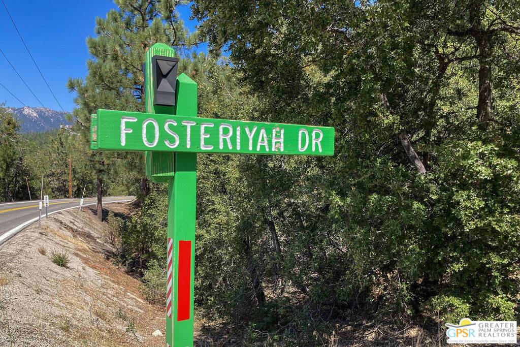 Idyllwild, CA 92549,52380 Fosteriyah DR