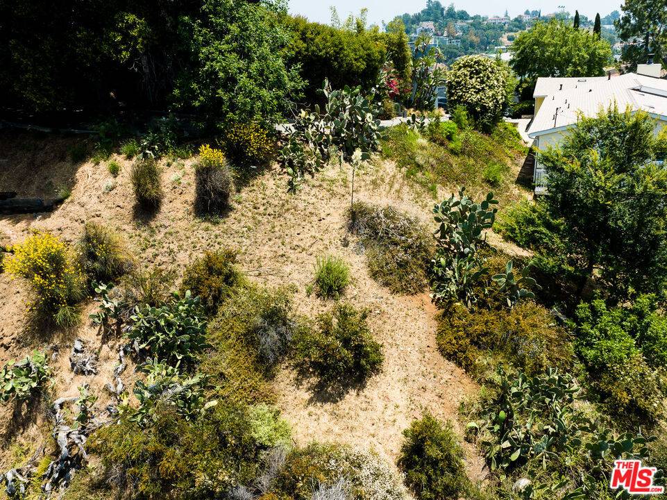 Los Angeles, CA 90068,2701 Hollyridge DR