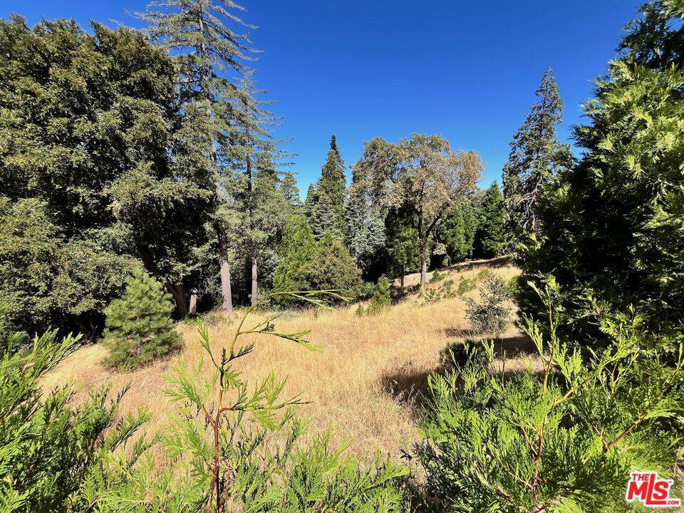 Lake Arrowhead, CA 92352,284 Hidden Forest RD