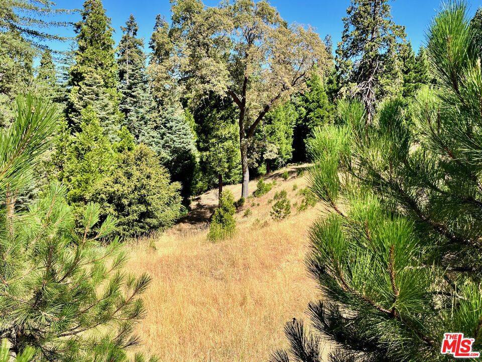 Lake Arrowhead, CA 92352,284 Hidden Forest RD