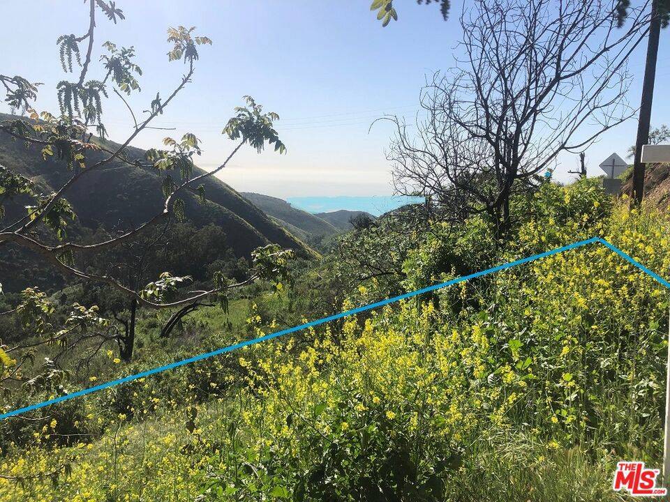 Malibu, CA 90265,4218 Latigo