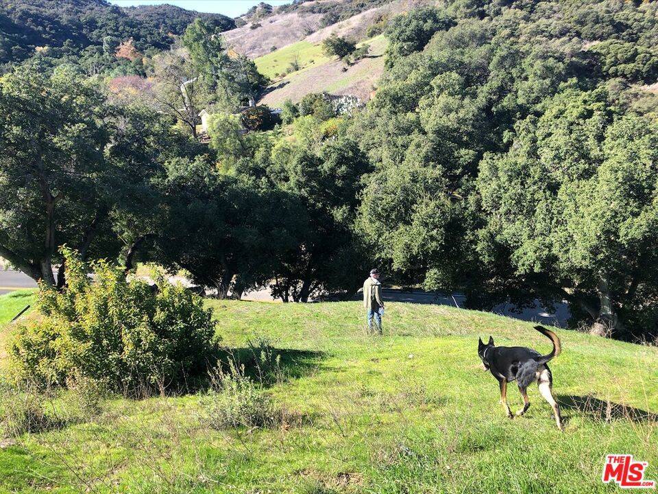Topanga, CA 90290,3330 Old Topanga Canyon RD