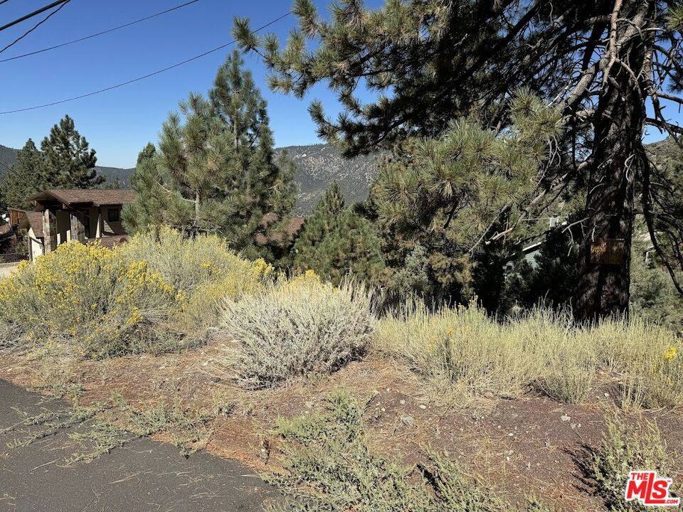 Pine Mountain Club, CA 93222,15113 Chestnut DR