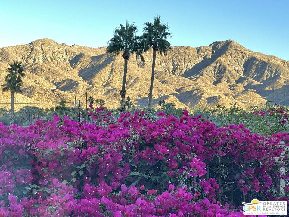 Palm Springs, CA 92264,2954 Zamora CT