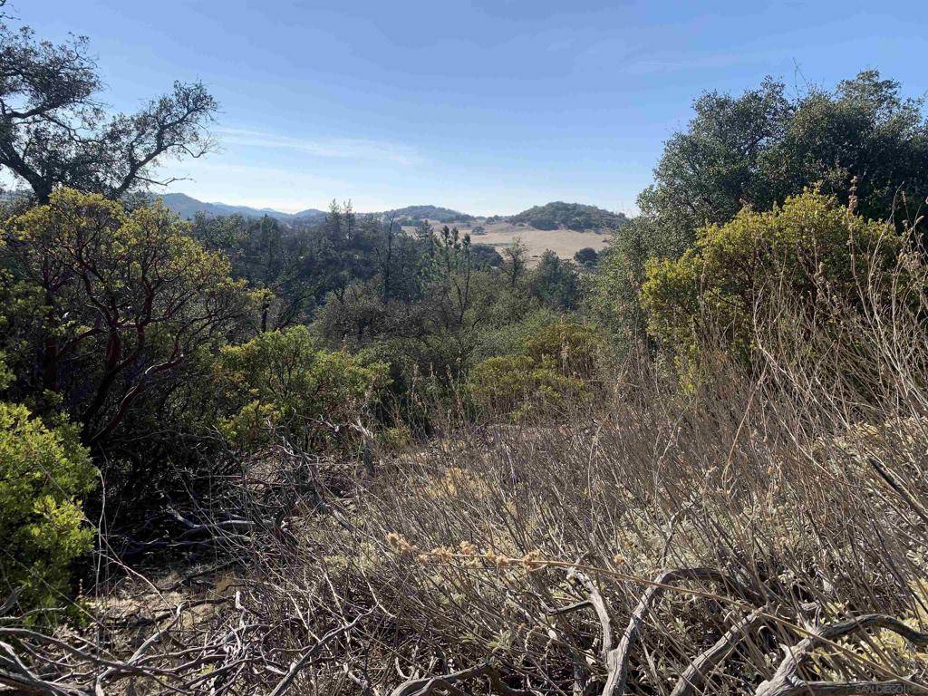 Julian, CA 92036,2708 Payson Dr