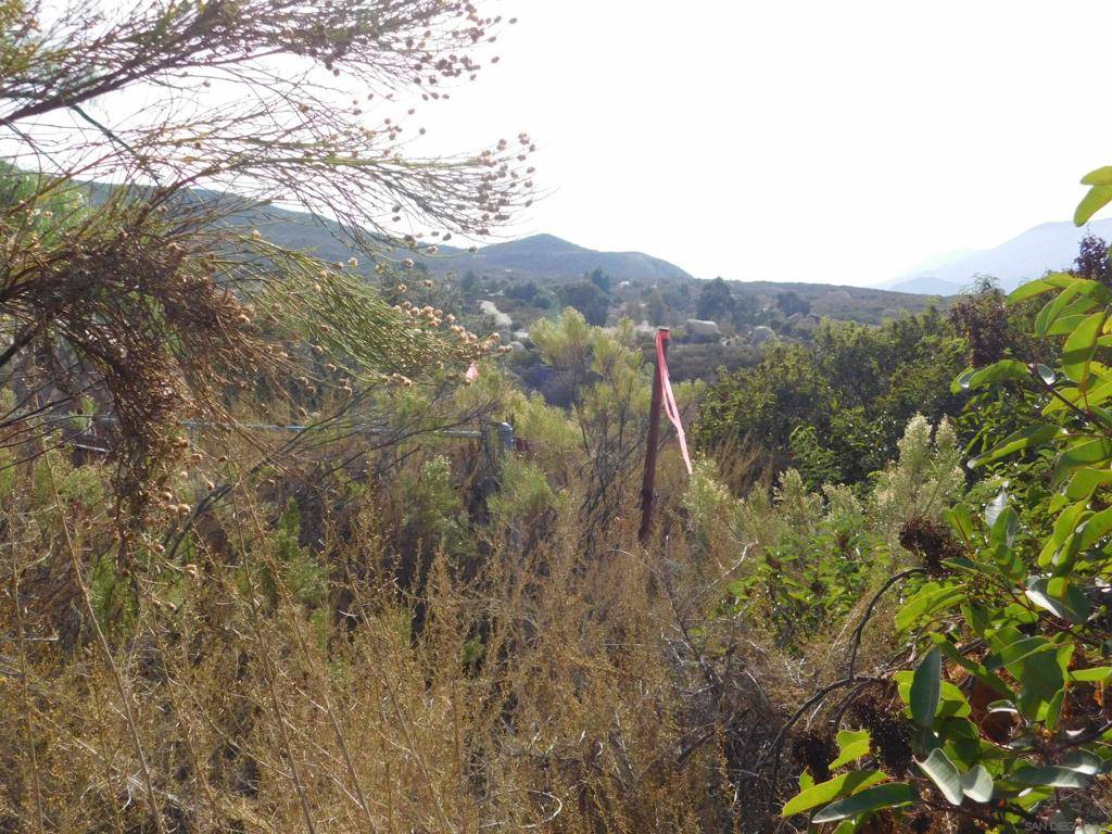 Jamul, CA 91935,Honey Springs Rd