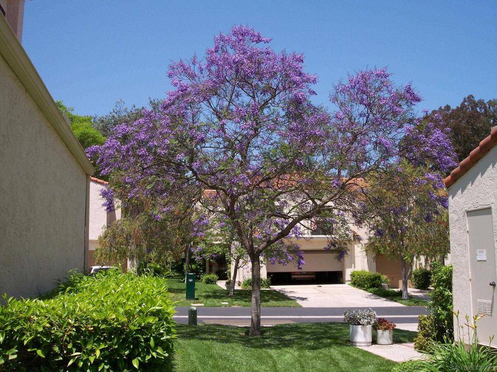 San Diego, CA 92124,4858 Seda Dr