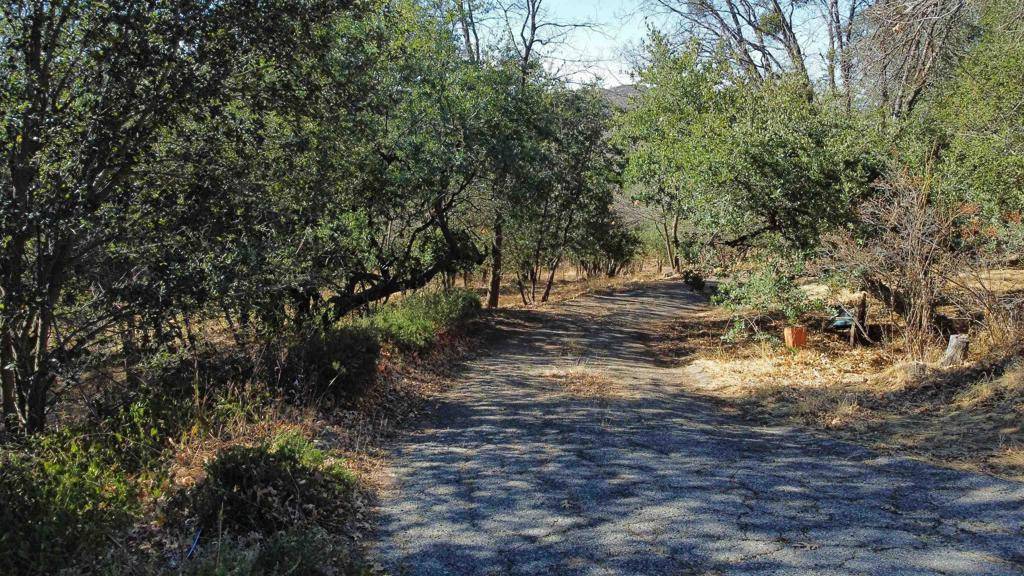 Julian, CA 92036,5298 Pine Hills Rd.