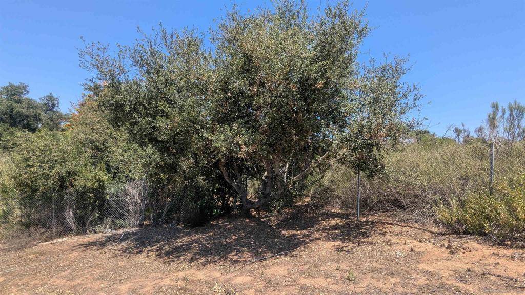 Escondido, CA 92029,678 Hamilton