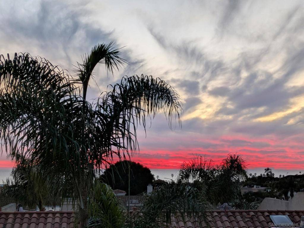 San Diego, CA 92109,919 Agate Street #5