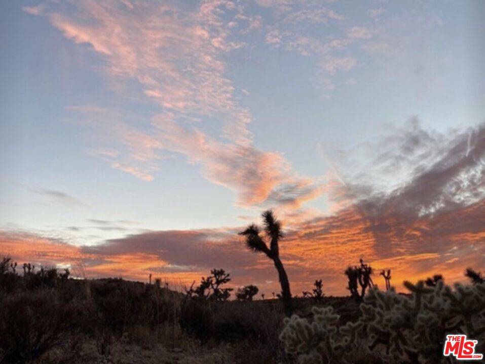 4456 Warren Vista AVE Yucca Valley, CA 92284
