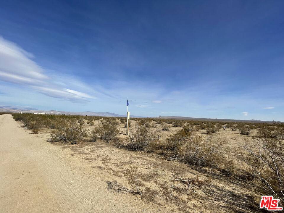 California City, CA 93501,0 GoldenHead