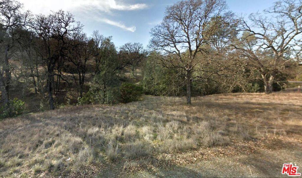 Corning, CA 96021,7395 Oak Park RD