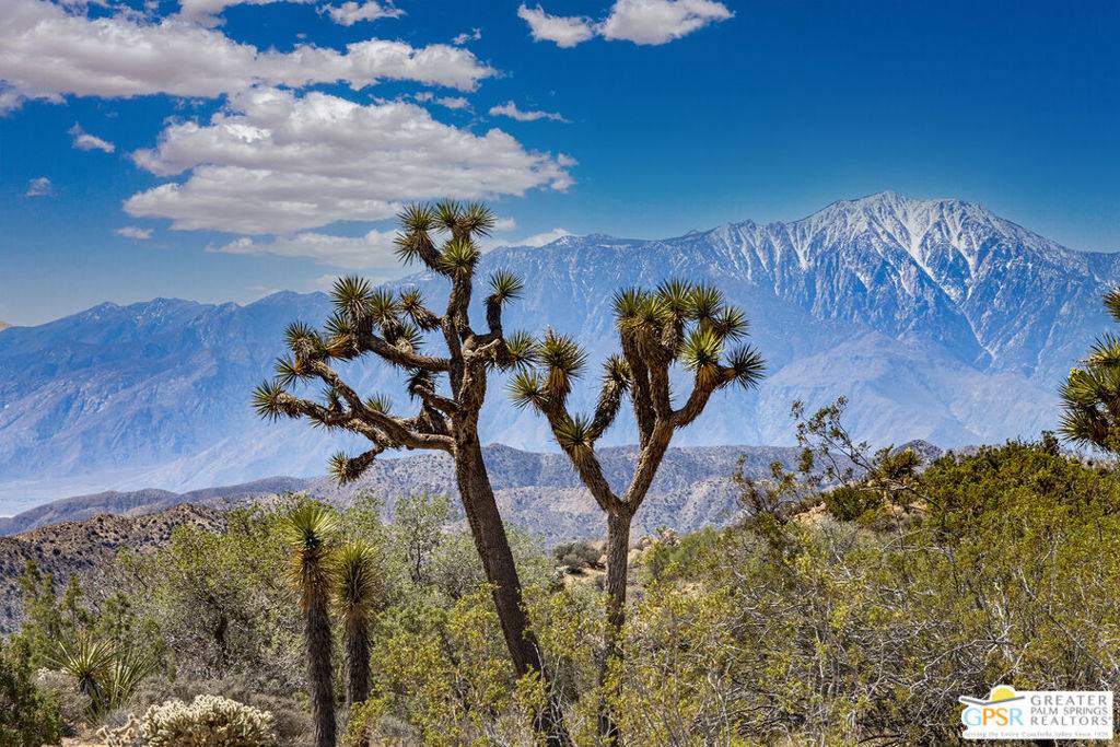Yucca Valley, CA 92284,53775 RIDGE RD