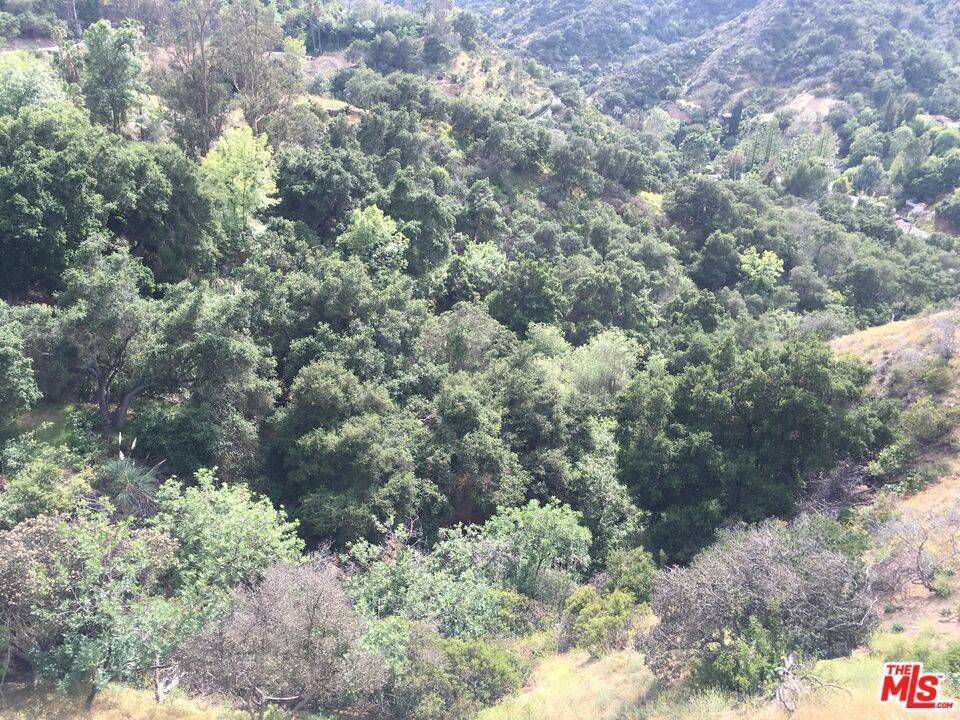 Beverly Hills, CA 90210,9712 Oak Pass RD