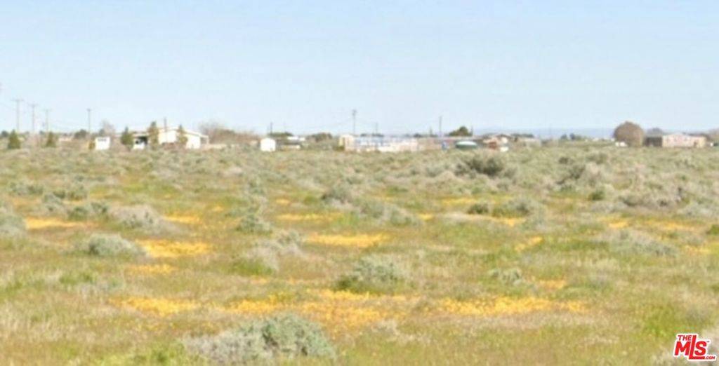 Rosamond, CA 93560,0 0