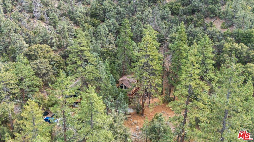 Pine Mountain Club, CA 93222,1420 Bernina DR