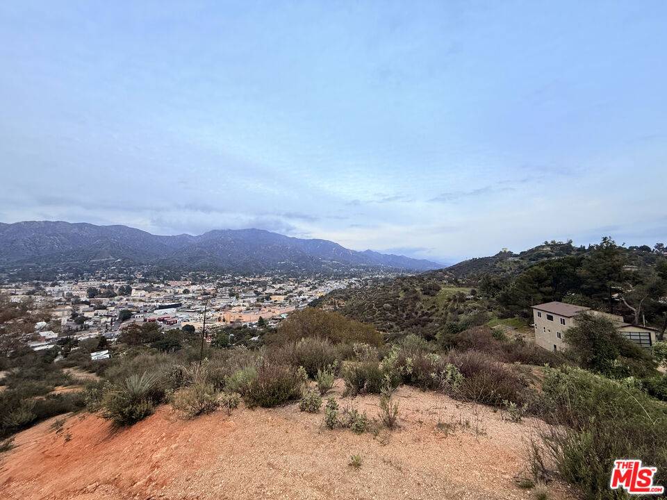 Tujunga, CA 91042,9727 N Estaban Way