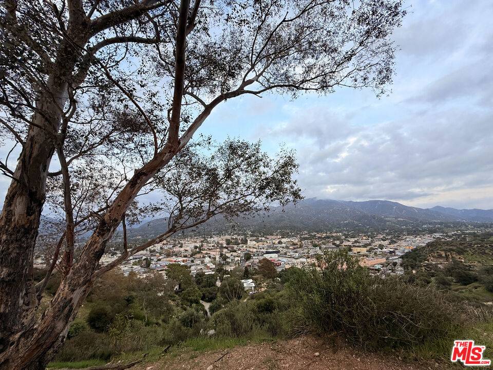 Tujunga, CA 91042,9735 N Estaban Way