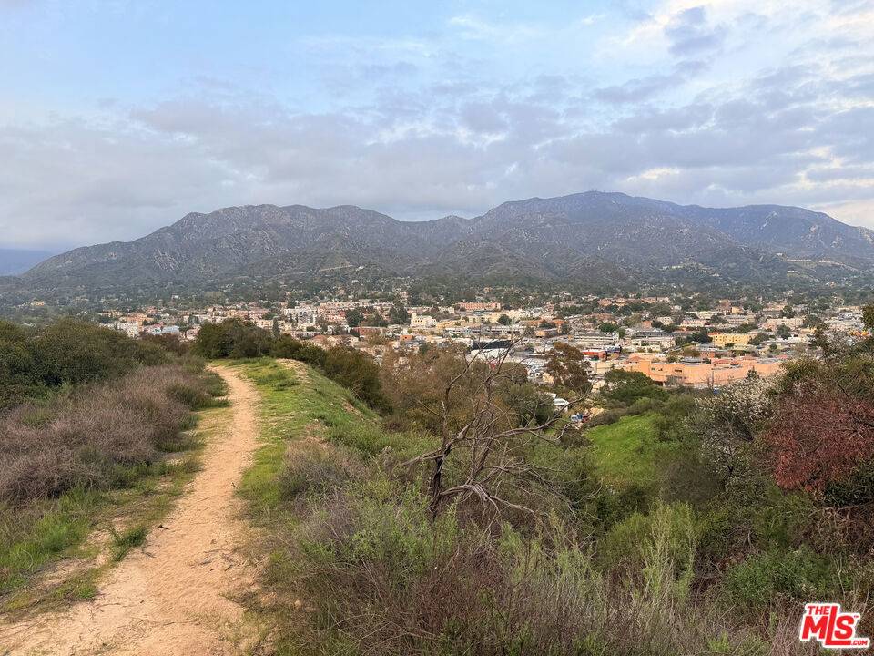 Tujunga, CA 91042,9749 N Estaban Way