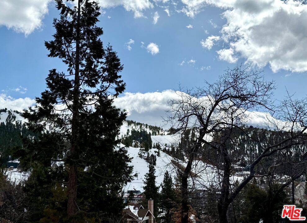 Big Bear, CA 92315,43315 Shasta RD