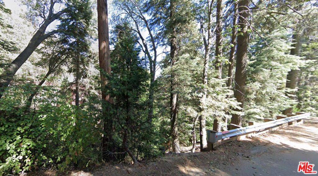 Lake Arrowhead, CA 92352,0 Community DR