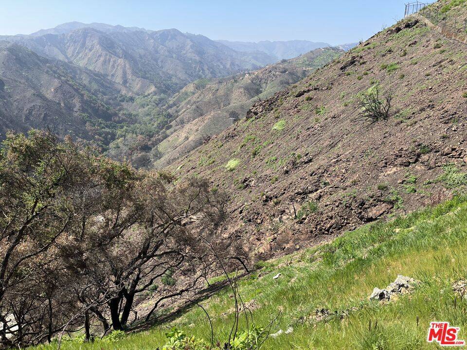 Pacific Palisades, CA 90272,1785 Alta Mura Rd RD