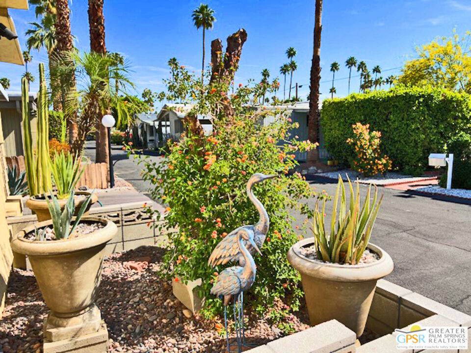 Palm Springs, CA 92264,70 Nile ST