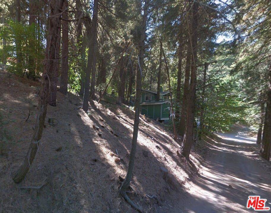 Cedarpines Park, CA 92322,24431 Rockwell RD