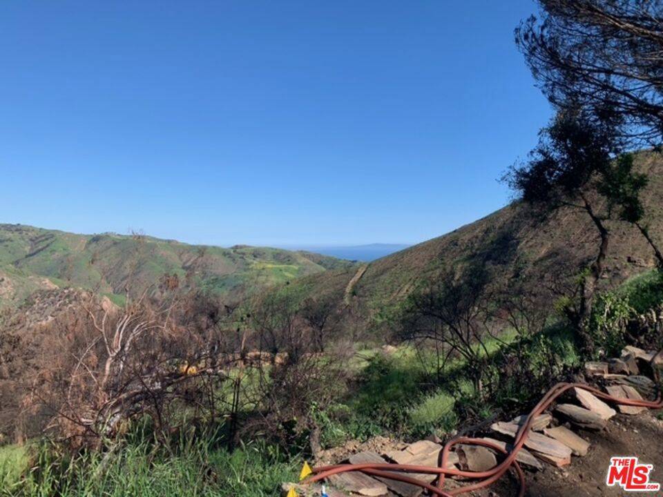 Malibu, CA 90265,1990 Las Flores Canyon RD