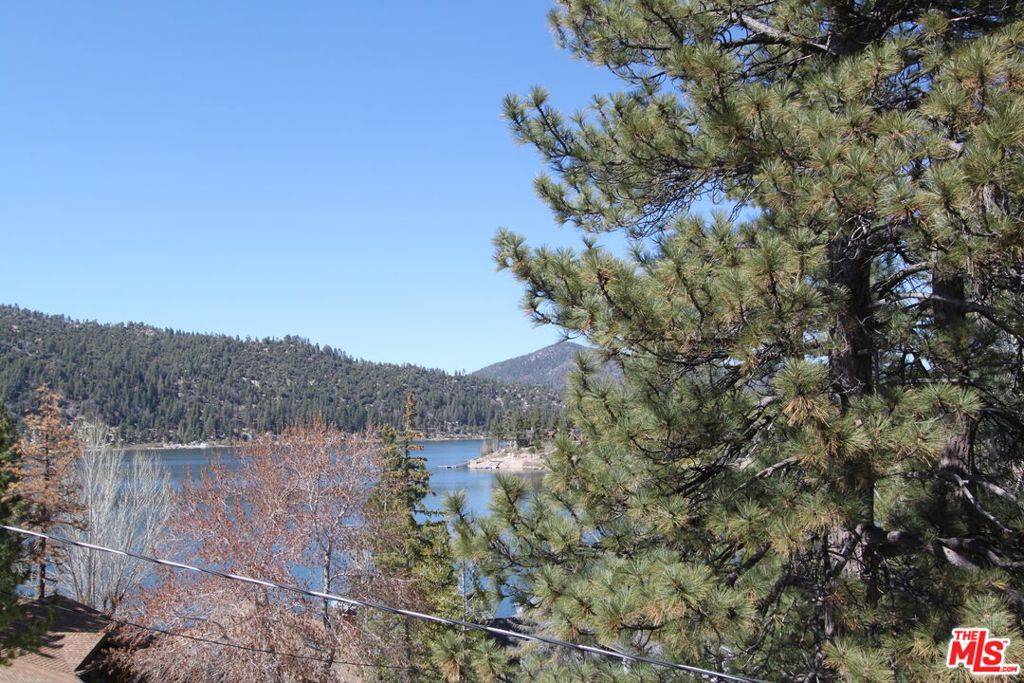 Big Bear, CA 92315,772 Cove DR