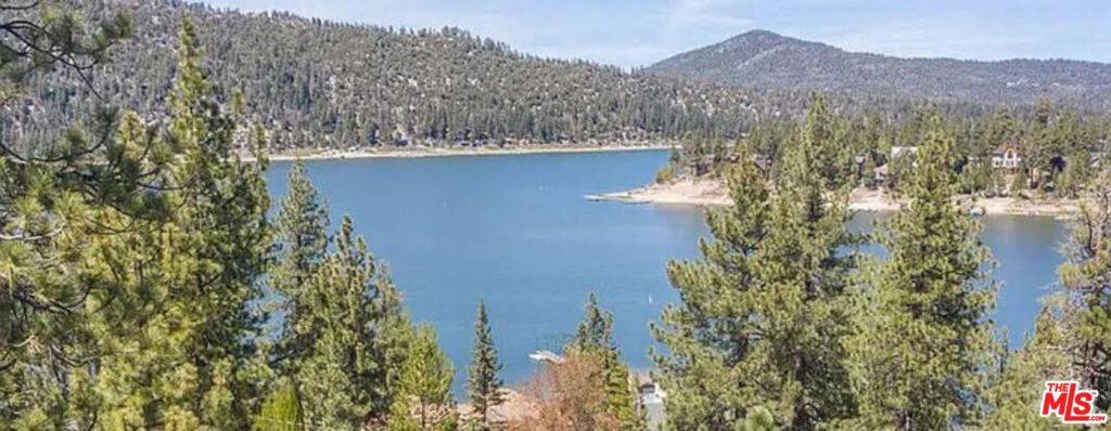 Big Bear, CA 92315,772 Cove DR