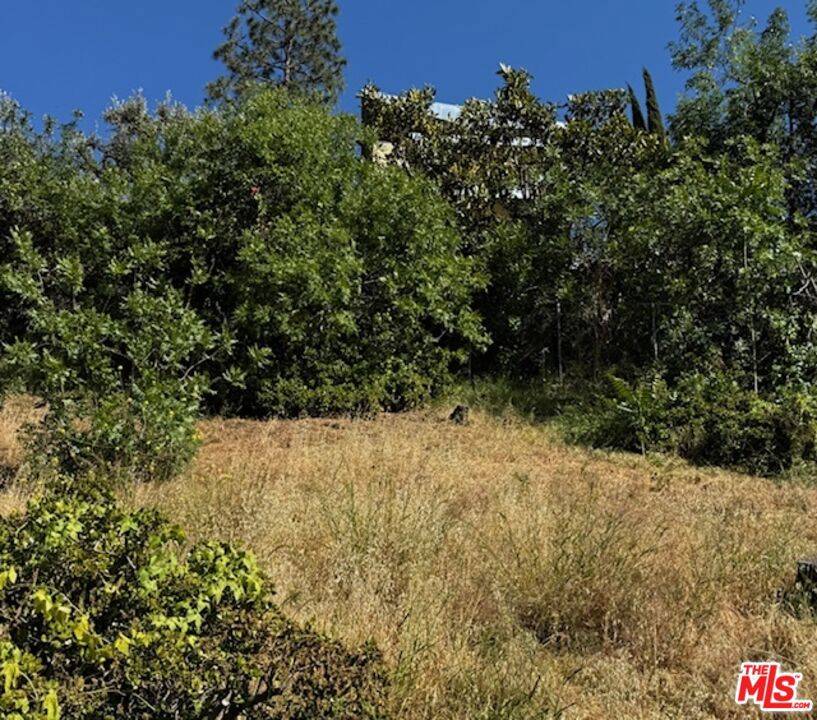 Los Angeles, CA 90065,3104 Isabel DR