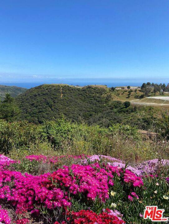 Malibu, CA 90265,23208 W Paloma Blanca DR