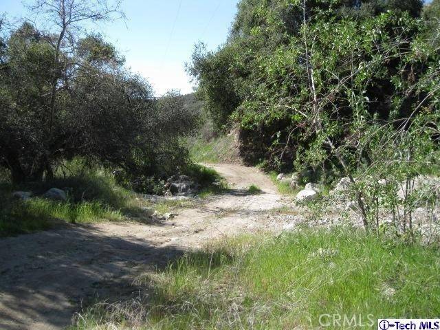 Sunland, CA 91040,0 Oro Vista