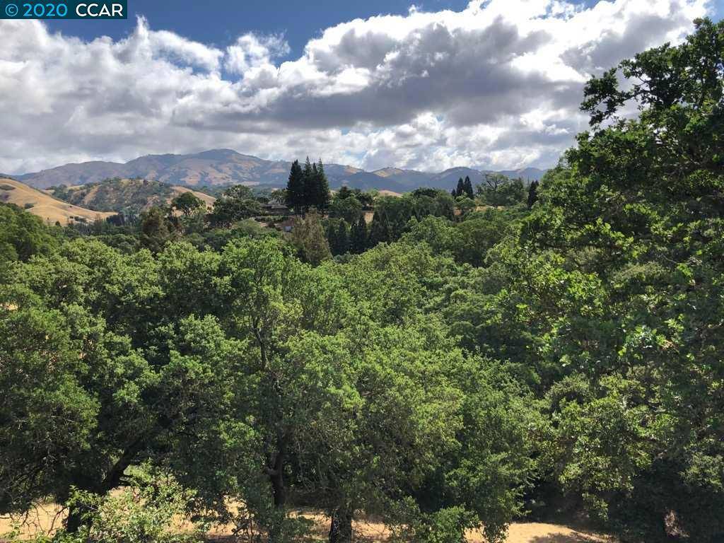 Alamo, CA 94507,59 Hagen Oaks Ct