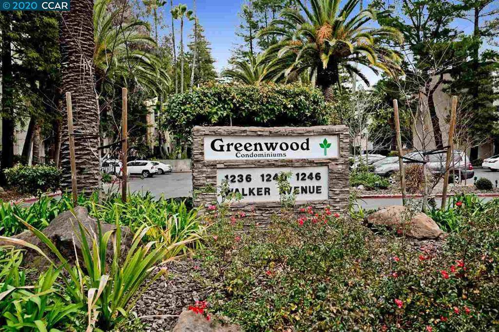 Walnut Creek, CA 94596,1236 Walker Avenue #212