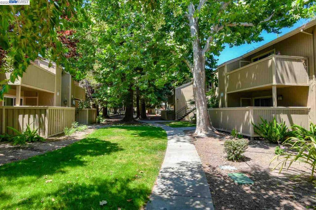 Fremont, CA 94536,3301 Foxtail Ter