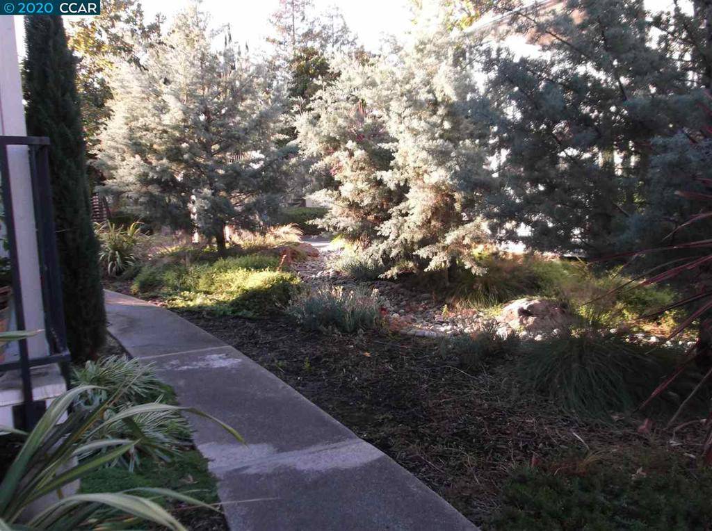 Walnut Creek, CA 94597,1590 Sunnyvale Ave #31