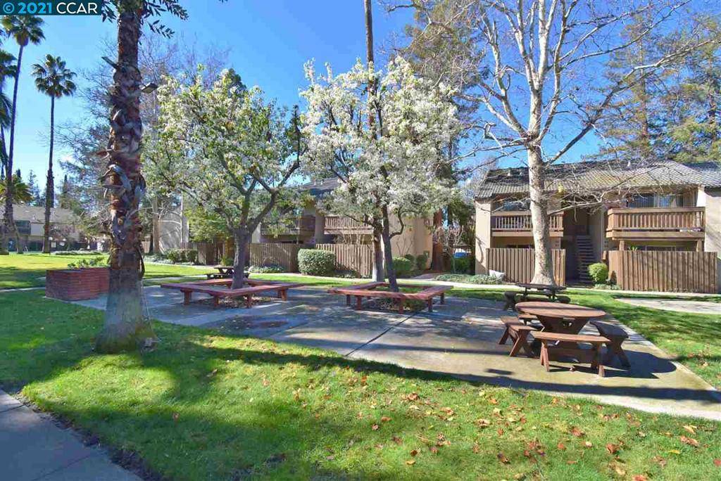 Walnut Creek, CA 94597-2859,2738 Oak Rd #166