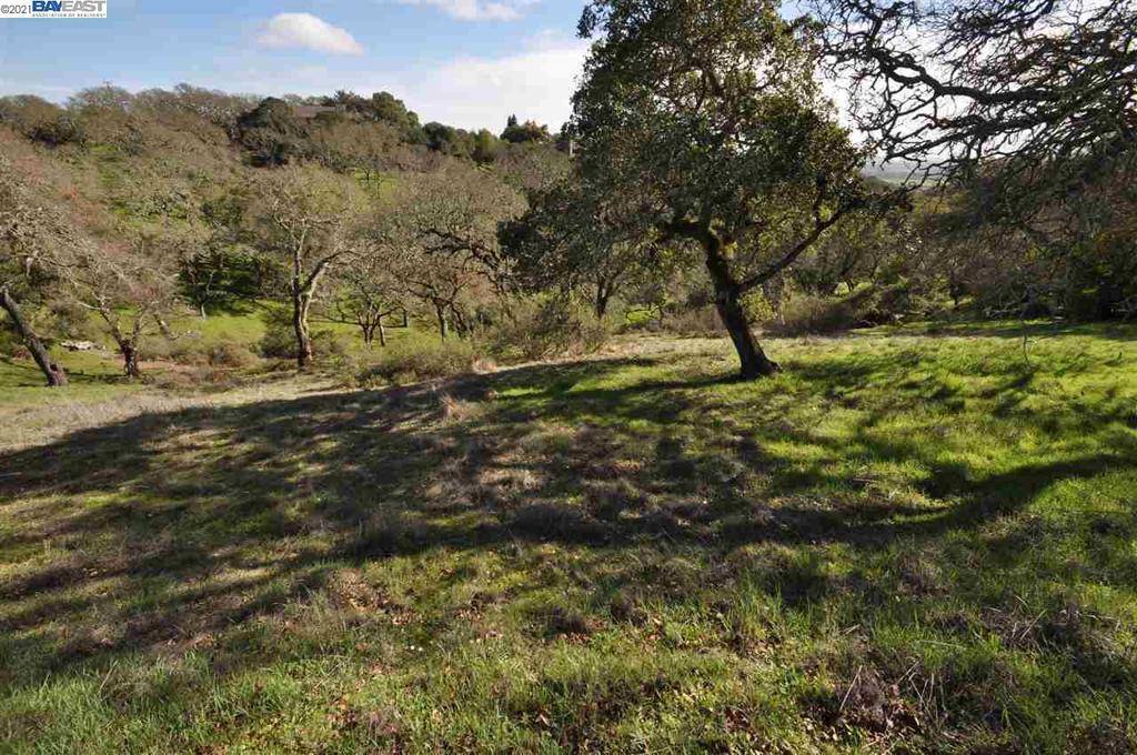 Novato, CA 94945,225 Crest Road