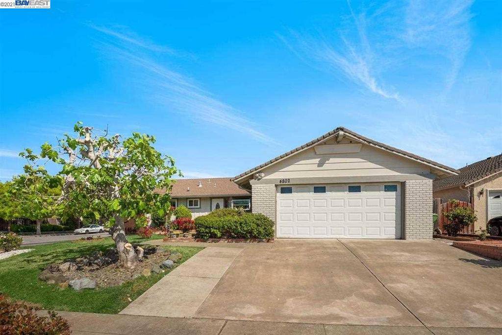 Fremont, CA 94536,4802 Kathryn Ct