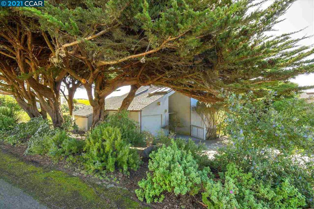 Bodega Bay, CA 94923,21177 Heron Dr