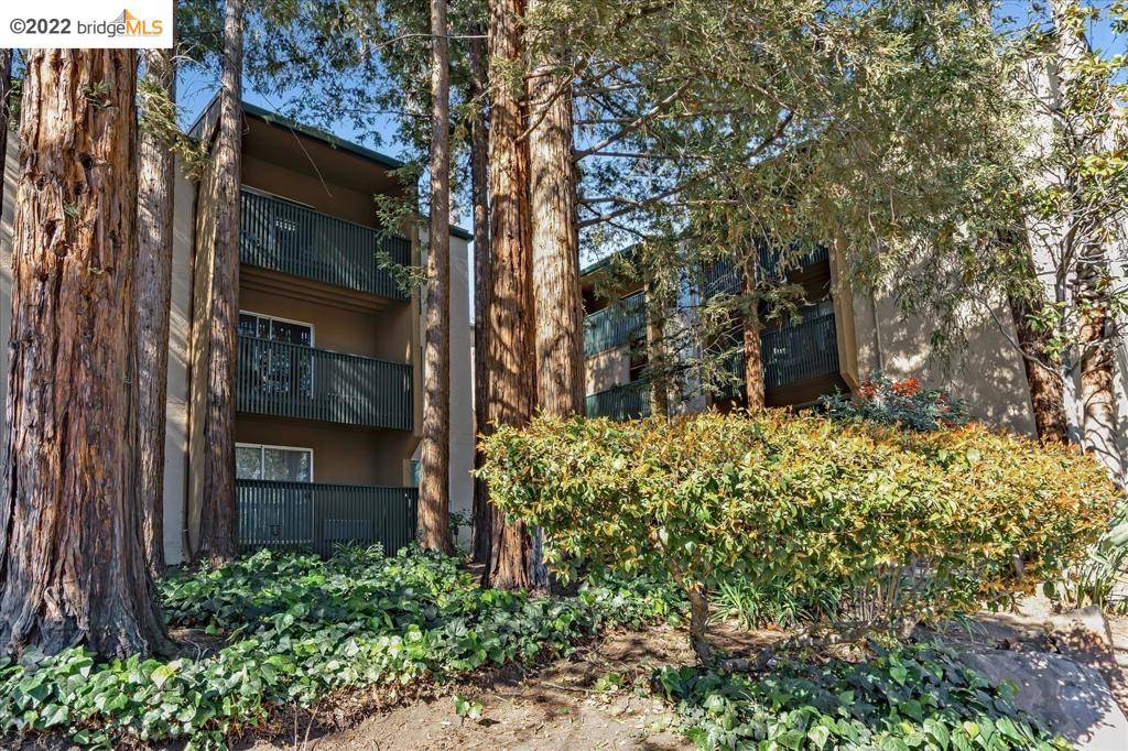 Walnut Creek, CA 94596,185 Sierra Drive #201