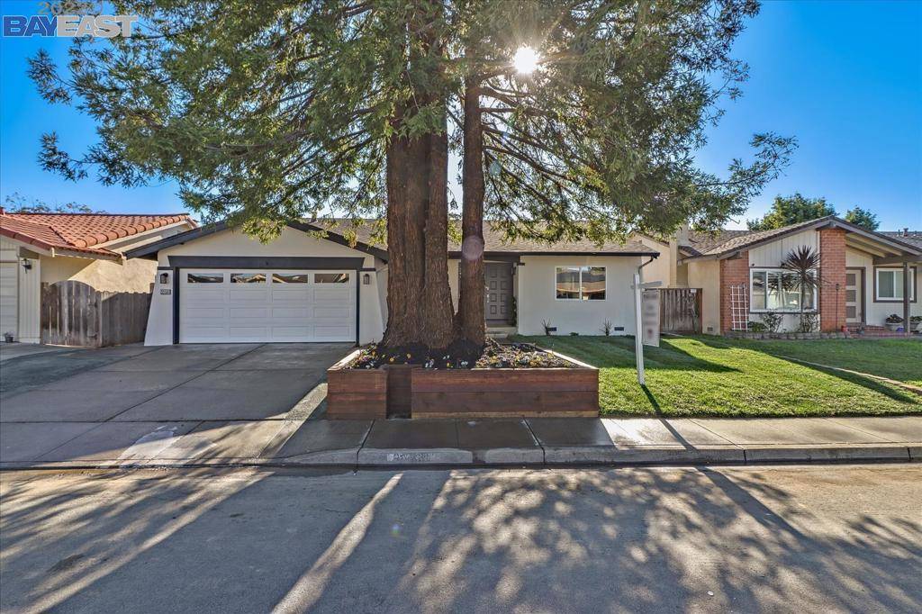 Fremont, CA 94536,35561 Purcell Pl