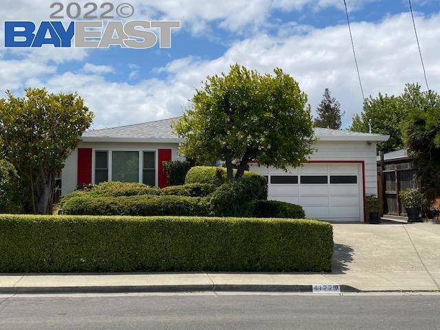 Fremont, CA 94539,41229 Beatrice Street