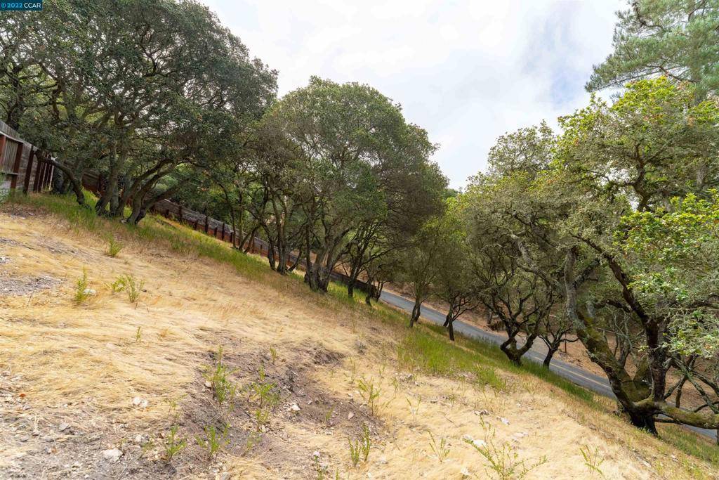 El Sobrante, CA 94803,0 Skyline Dr