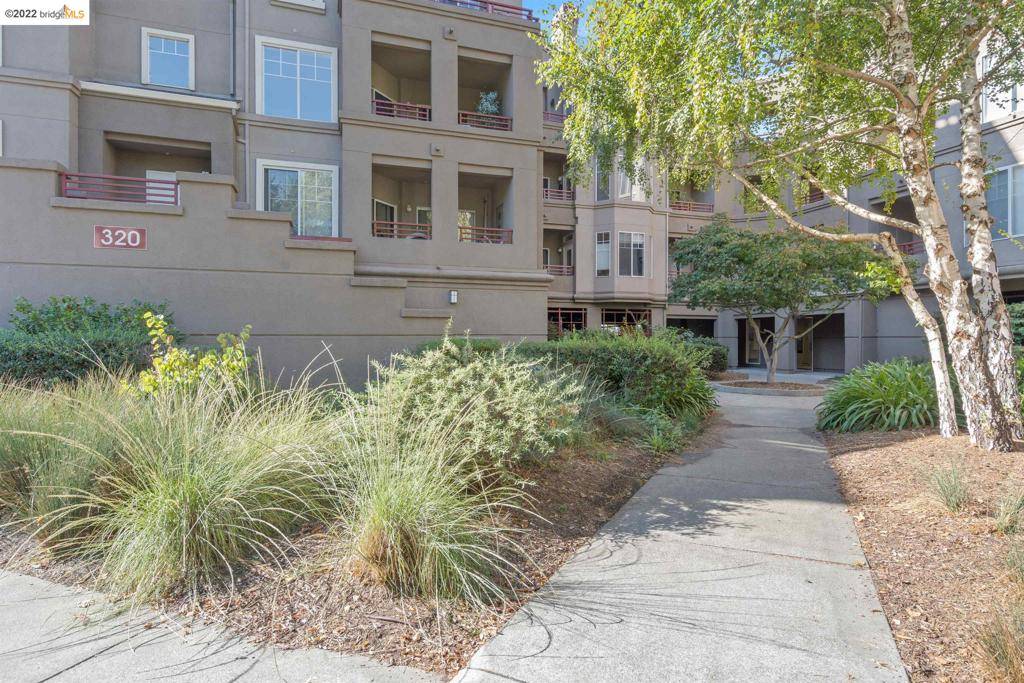 Oakland, CA 94618,320 Caldecott Ln #207